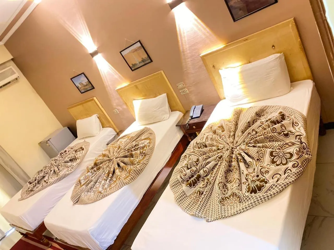 Shady Hotel الأقصر