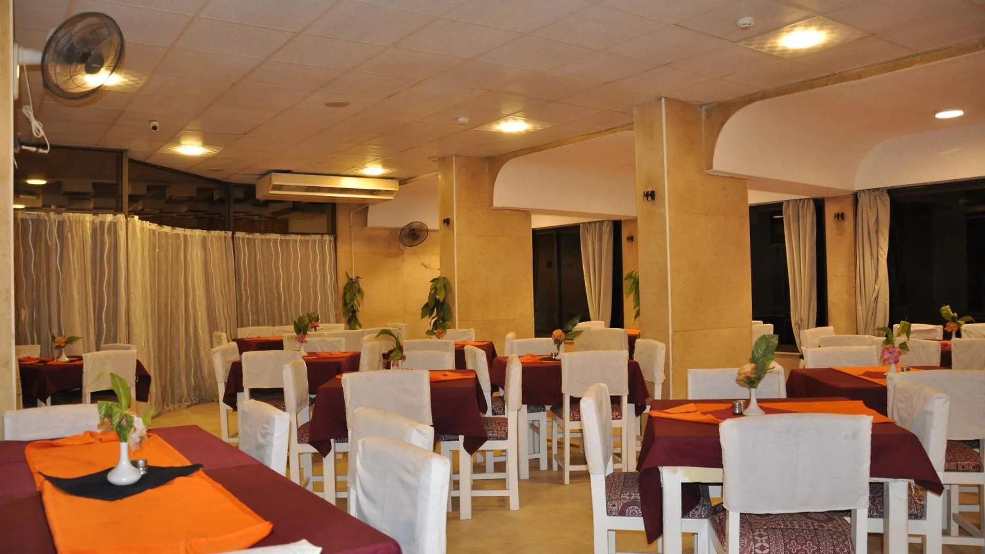 Shady Hotel الأقصر