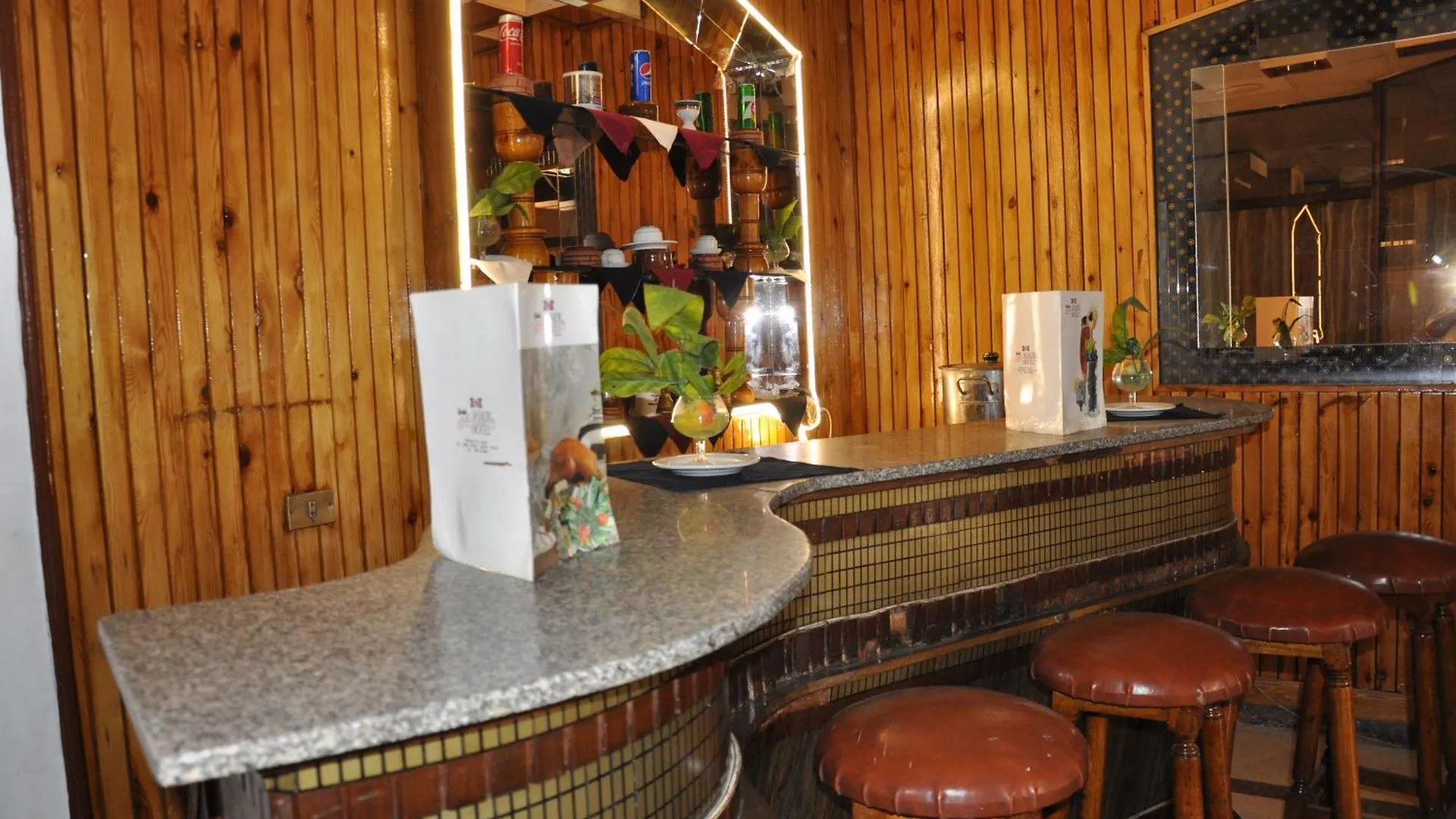 Shady Hotel الأقصر