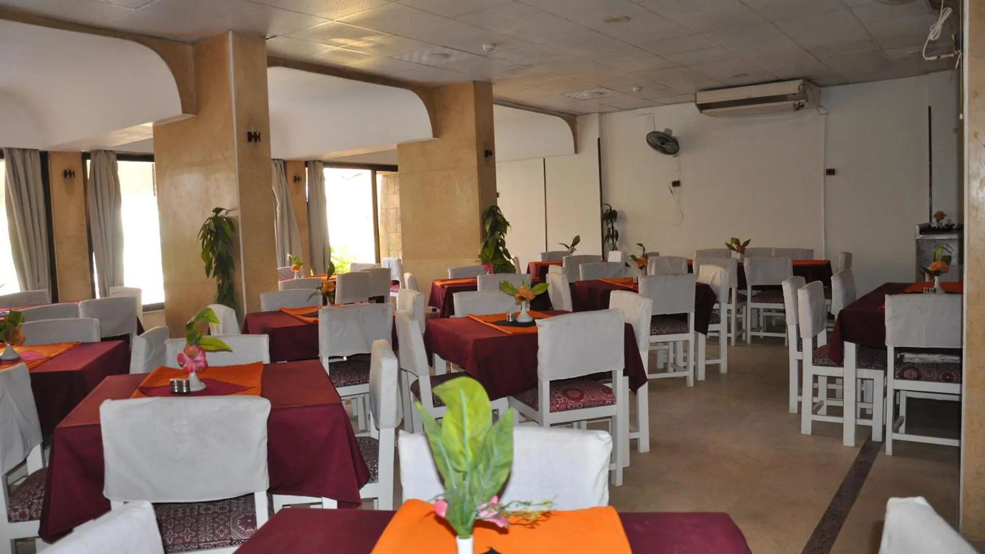 Shady Hotel الأقصر
