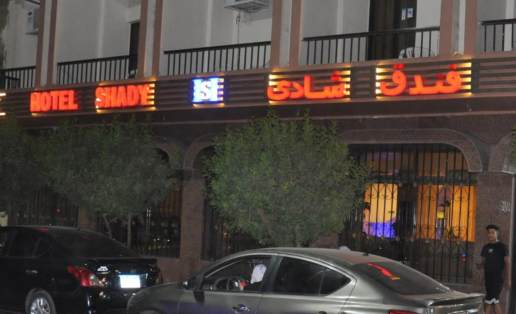 Shady Hotel الأقصر