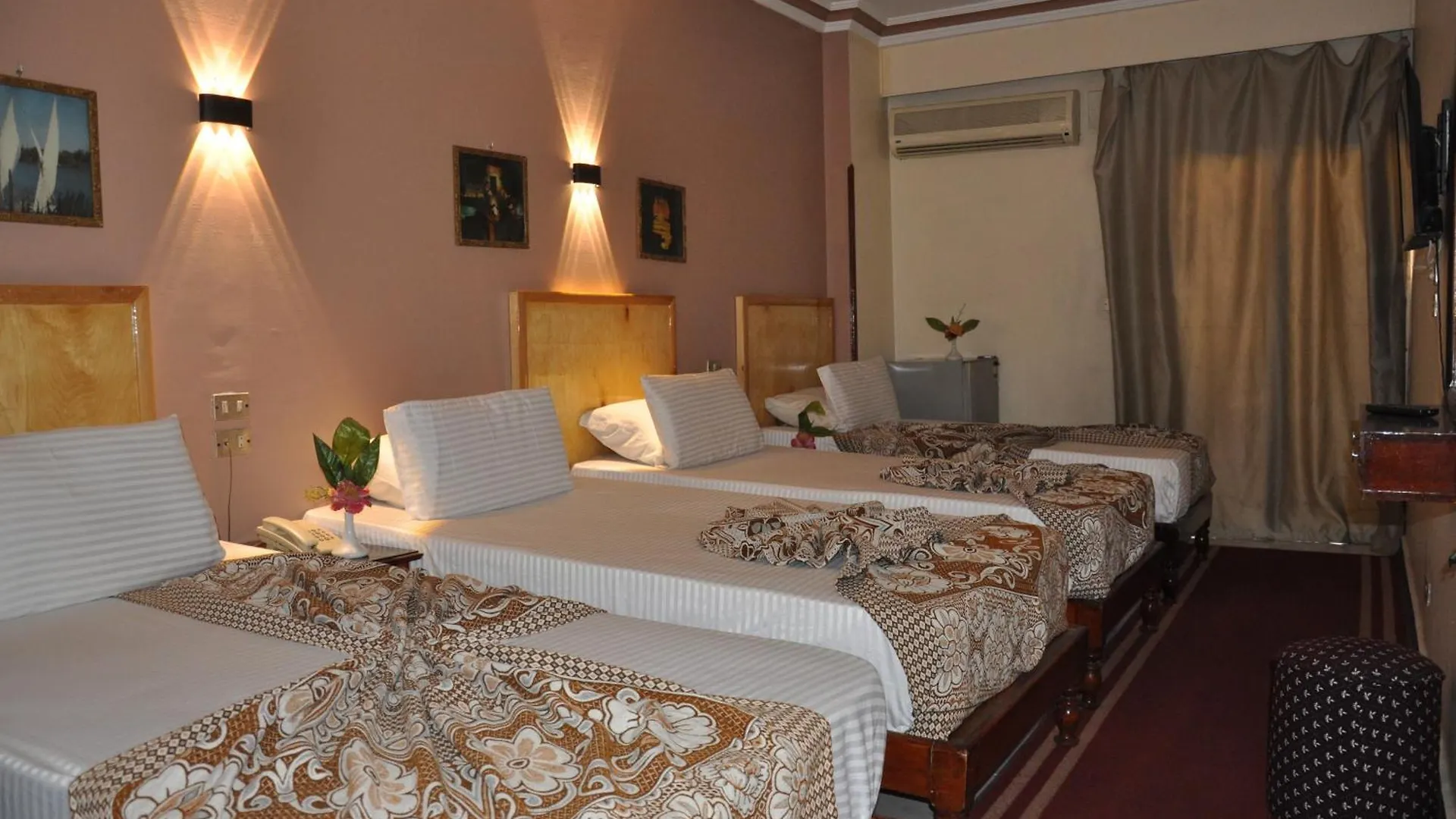 Shady Hotel Luxor Egypt